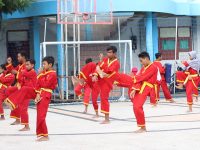 Pencak Silat Tapak Suci
