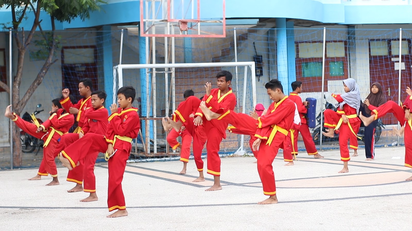 Pencak Silat Tapak Suci