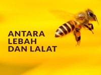 Penerimaan Anak Didik Baru TA 2022-2023