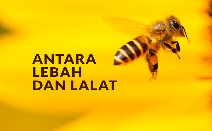 WISUDA TAHFIZH PAUD AL MUJAHIDIN ANGKATAN 10 DAN 11